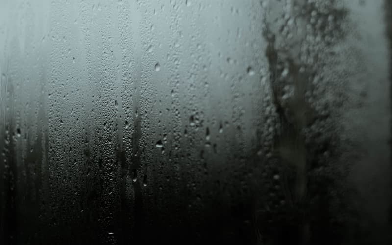 Best Dehumidifier UK 2026: For Damp, Condensation and Mould, Compared on Real-Room Performance