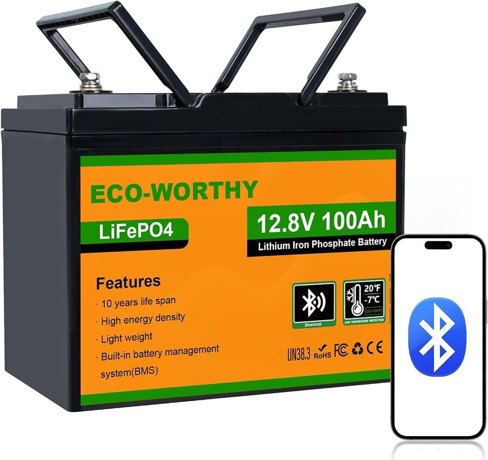 ECO-WORTHY 12V 100Ah LiFePO4 Battery